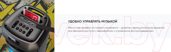 Изображение товара Портативная колонка SoundMax SM-MS4102 (черный)