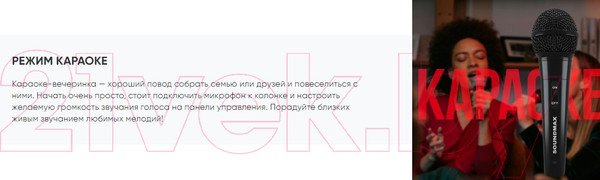 Изображение товара Портативная колонка SoundMax SM-MS4102 (черный)