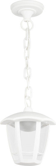 Изображение товара Светильник уличный ЭРА ДСУ 07-8-002 / Б0064293