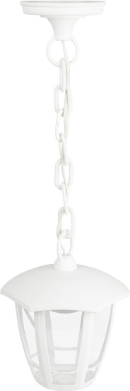 Изображение товара Светильник уличный ЭРА ДСУ 07-8-002 / Б0064293