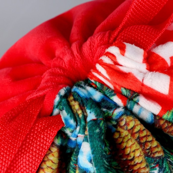 Изображение товара Мешок для обуви Milo Toys Посылка от Деда Мороза / 9720697