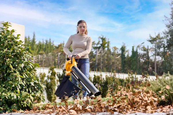 Изображение товара Воздуходувка аккумуляторная Stiga VS 100e Kit (271504198/ST1)