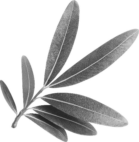 Изображение товара Книга Inspiria Семь сестер. Атлас. История Па Солта, мягкая обложка (Райли Люсинда, Уиттакер Гарри)