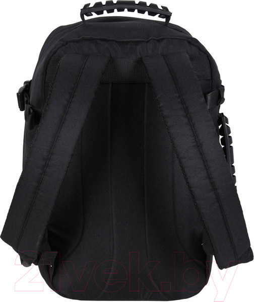 Изображение товара Рюкзак Paso PPBL-1050