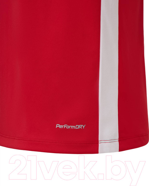 Изображение товара Футболка игровая футбольная Jogel Division PerFormDRY Element Jersey (L, красный)