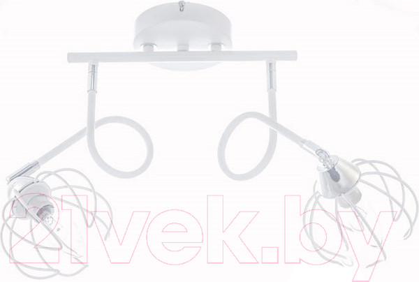 Изображение товара Спот Aitin-Pro НПБ 02-2х60-102 / K237/2 (белый)