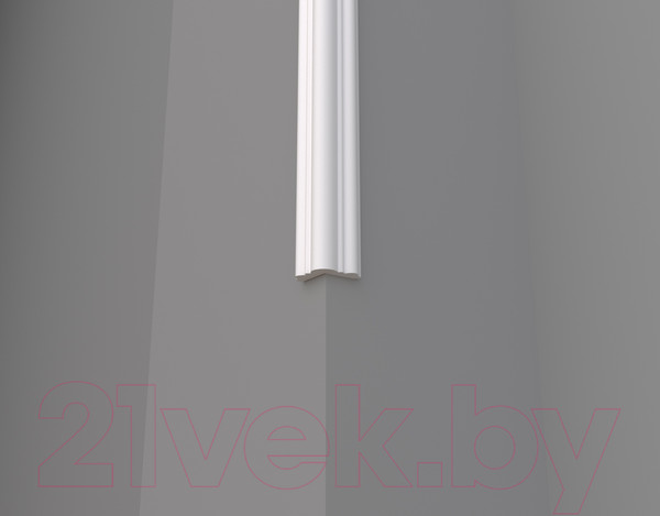 Изображение товара Уголок отделочный Decor-Dizayn DD06 (30x30x2000)