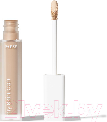 Изображение товара Консилер Paese My Skin Icon тон 01 (6.5мл)