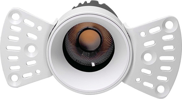 Изображение товара Точечный светильник FAVOURITE 4417-1C