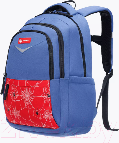 Изображение товара Школьный рюкзак Torber Class X T70041-BR + Мешок для обуви (синий/красный с орнаментом)