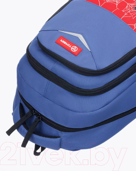 Изображение товара Школьный рюкзак Torber Class X T70041-BR + Мешок для обуви (синий/красный с орнаментом)