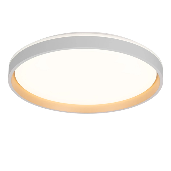 Изображение товара Потолочный светильник Citilux Enzo CL753510G