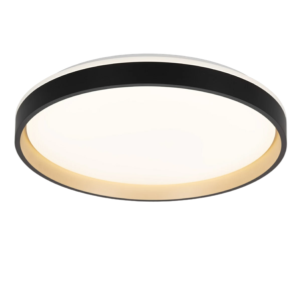 Изображение товара Потолочный светильник Citilux Enzo CL753511G