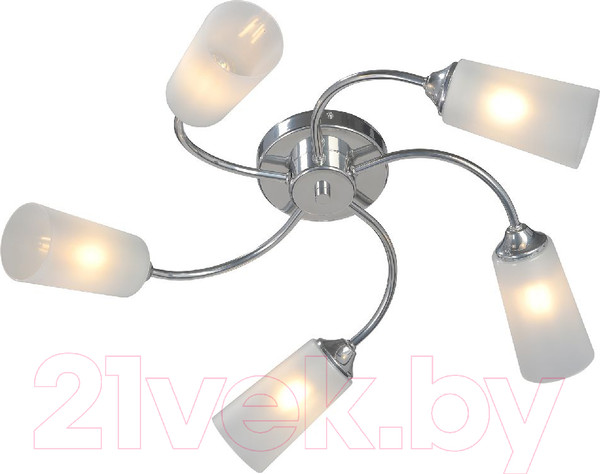 Изображение товара Люстра Vitaluce V2831-9/5PL