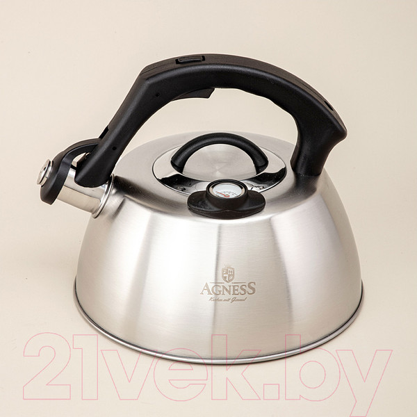 Изображение товара Чайник со свистком Agness 908-067