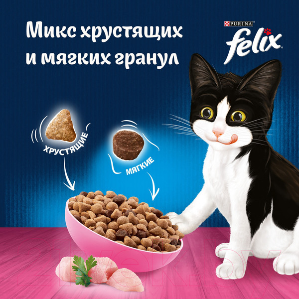 Изображение товара Сухой корм для кошек Felix Двойная вкуснятина для котят с курицей (600г)