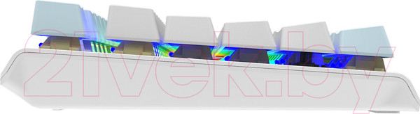 Изображение товара Клавиатура A4Tech Fstyler FS100 Neon (синий/белый)