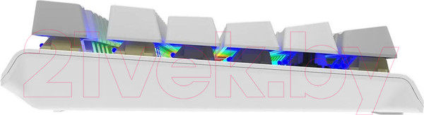 Изображение товара Клавиатура A4Tech Fstyler FS100 Neon (серый/белый)