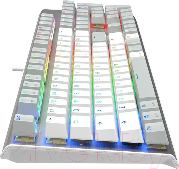 Изображение товара Клавиатура A4Tech Fstyler FS100 Neon (серый/белый)