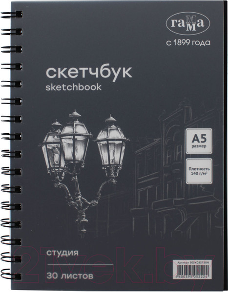 Изображение товара Скетчбук ГАММА Студия / 50SK03S730N (30л, черный)