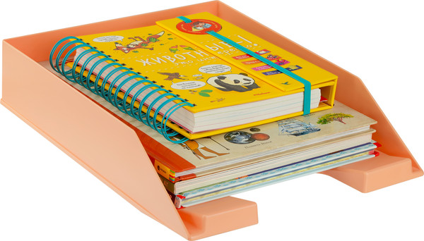 Изображение товара Лоток для бумаг Стамм Фаворит / ЛТГ-31792 (персиковый)