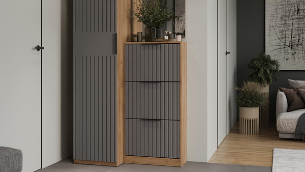 Изображение товара Тумба для обуви ТриЯ Хилтон (дуб крафт золотой/графит матовый)