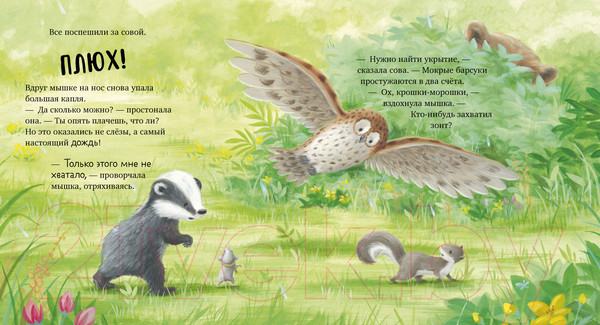 Изображение товара Книга CLEVER Книжки-картинки. Я не ворчунья! / 9785002116416 (Смолмен С.)