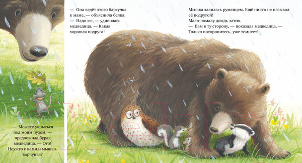 Изображение товара Книга CLEVER Книжки-картинки. Я не ворчунья! / 9785002116416 (Смолмен С.)