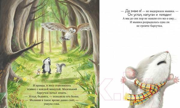 Изображение товара Книга CLEVER Книжки-картинки. Я не ворчунья! / 9785002116416 (Смолмен С.)