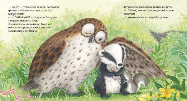 Изображение товара Книга CLEVER Книжки-картинки. Я не ворчунья! / 9785002116416 (Смолмен С.)