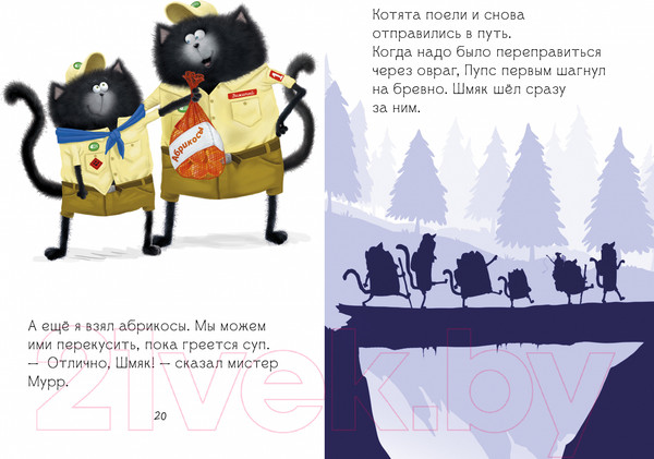 Изображение товара Книга CLEVER Котенок Шмяк - маленький скаут / 9785002115860 (Скоттон Р.)