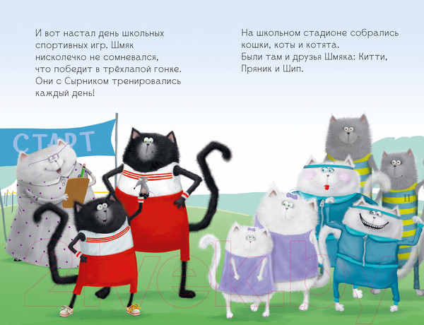 Изображение товара Книга CLEVER Котенок Шмяк. Как порадовать папу / 9785002115396 (Скоттон Р.)