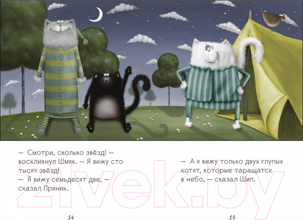 Изображение товара Книга CLEVER Котенок Шмяк. Спокойной ночи, Шмяк! / 9785002115273 (Скоттон Р.)