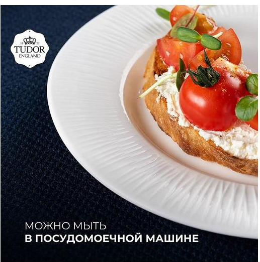 Изображение товара Тарелка столовая обеденная Tudor England TU2998