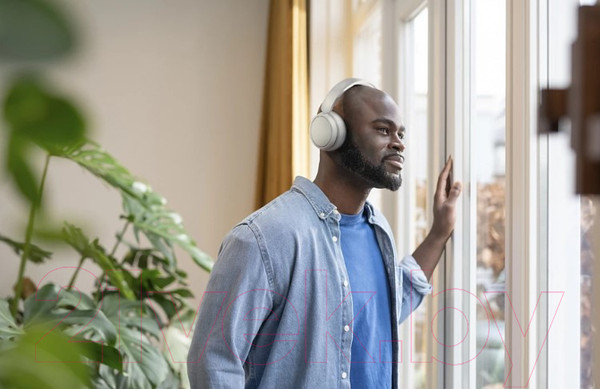 Изображение товара Беспроводные наушники Philips TAH5209WT/00