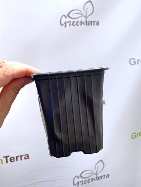 Изображение товара Набор горшков для рассады GreenTerra 9x9x10см (100шт)