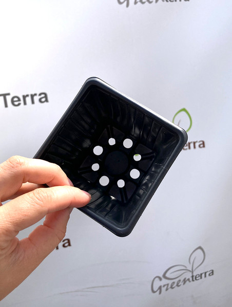 Изображение товара Набор горшков для рассады GreenTerra 9x9x10см (100шт)