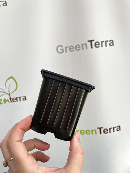 Изображение товара Набор горшков для рассады GreenTerra 8x8x8см (100шт)