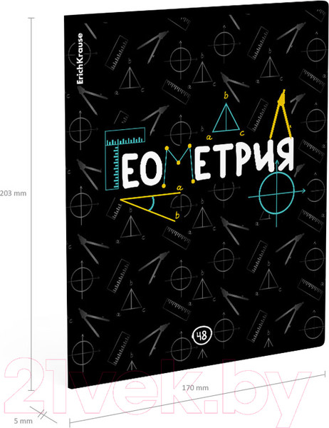 Изображение товара Тетрадь предметная Erich Krause Inscription Геометрия / 60661 (48л, клетка)