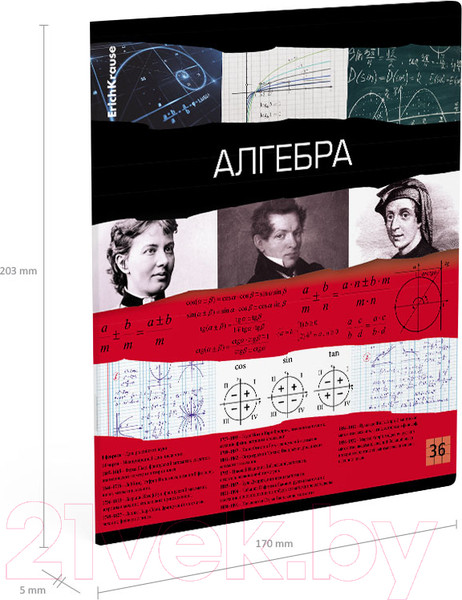 Изображение товара Тетрадь предметная Erich Krause Timeline Алгебра / 60648 (36л, клетка)