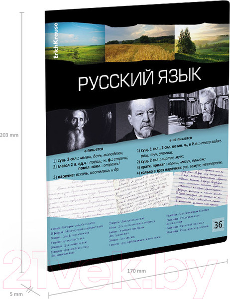 Изображение товара Тетрадь предметная Erich Krause Timeline Русский язык / 59504 (36л, линейка)