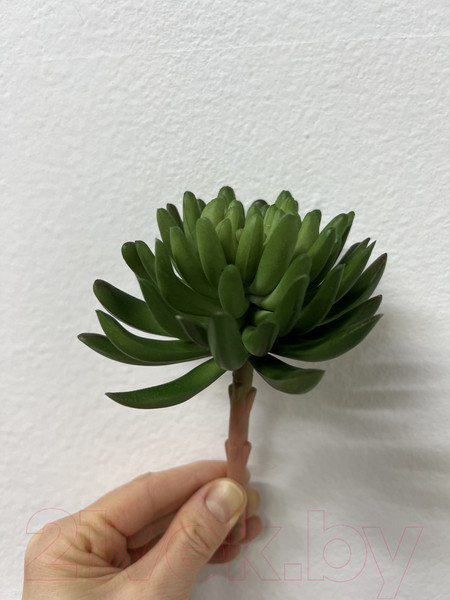 Изображение товара Искусственное растение Артфлора Суккулент Седум зеленый / 114013