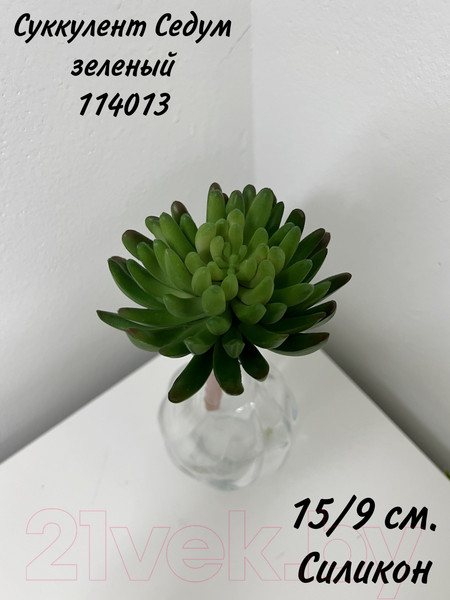 Изображение товара Искусственное растение Артфлора Суккулент Седум зеленый / 114013