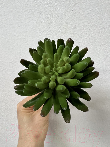 Изображение товара Искусственное растение Артфлора Суккулент Седум зеленый / 114013