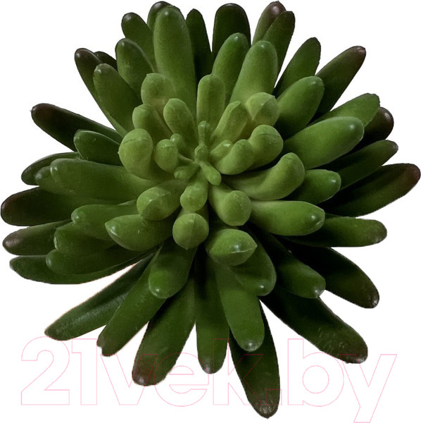 Изображение товара Искусственное растение Артфлора Суккулент Седум зеленый / 114013