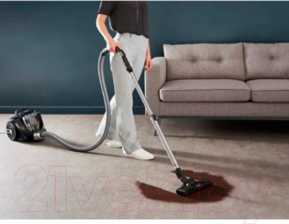 Изображение товара Пылесос Tefal TW4B75EA