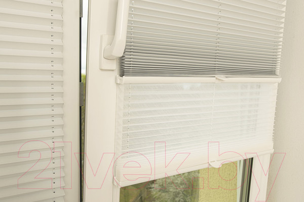 Изображение товара Штора-плиссе Delfa Basic Blo СПШ-37102/3504 Plain Transparent (34x160, белый/белый)