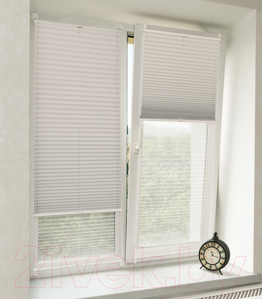 Изображение товара Штора-плиссе Delfa Basic Blo СПШ-37102/3504 Plain Transparent (57x160, белый/белый)