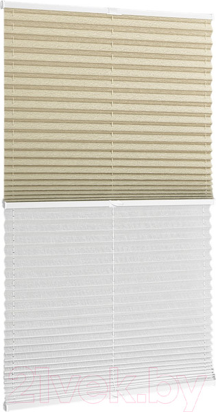 Изображение товара Штора-плиссе Delfa Walnut СПШ-3405/3504 Plain Transparent (48x160, бежевый/белый)