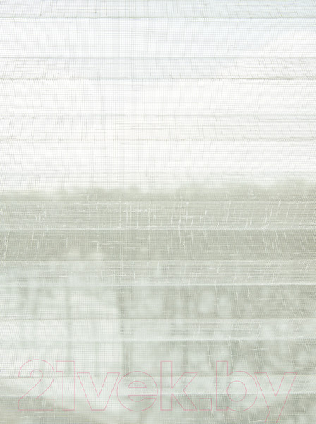 Изображение товара Штора-плиссе Delfa Walnut СПШ-3401/3504 Plain Transparent (34x160, антрацит/белый)